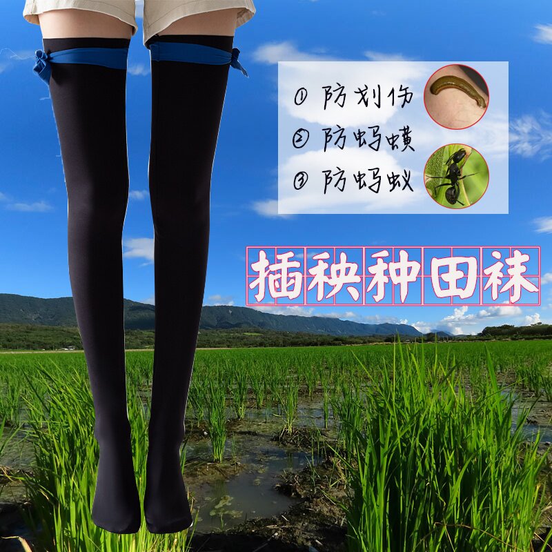 下田插秧袜子栽秧水袜加厚脚套男女长筒袜水稻干活防蚂蟥长袜