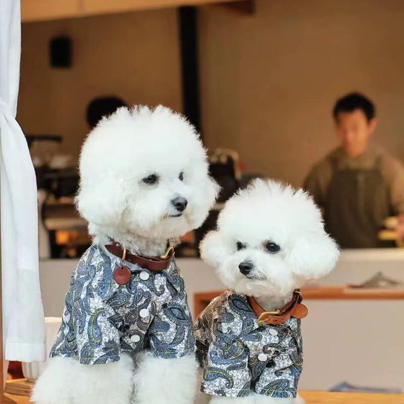 春夏宠物衬衫狗狗猫咪衣服雪纳瑞比熊博美气质腰果帅气薄款花衬衫
