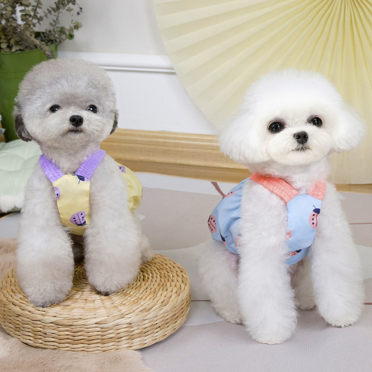 宠物狗狗衣服春夏装泰迪比熊宠物服装小型犬夏季可爱蜘蛛吊带裙子