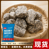 天然麦饭石颗粒大饭粒净水石头泡茶烧水煮饭家用水缸过滤鱼缸造景