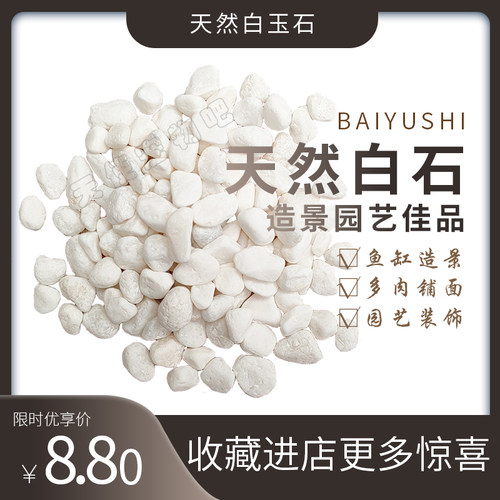 天然白玉石小白石头多肉铺面小石子鱼缸造景白石室外铺路园艺造景