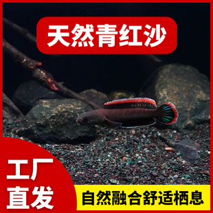 免洗雷龙底沙灰青沙青红沙偏暗灰青沙青灰红沙雷龙专用原生鱼缸沙