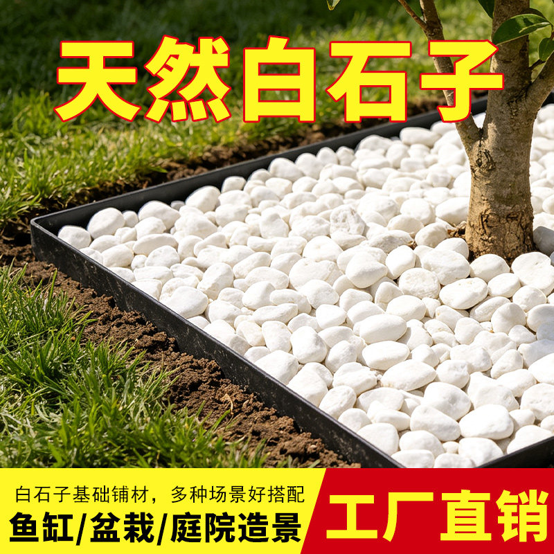 白石多肉铺面石白石子花盆装饰石子园艺鱼缸铺底造景特价白色石头