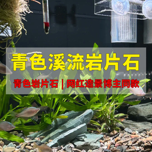 天然溪流石绿色页岩造景青色叠石片石斜插斜飘原生鱼缸精品片石