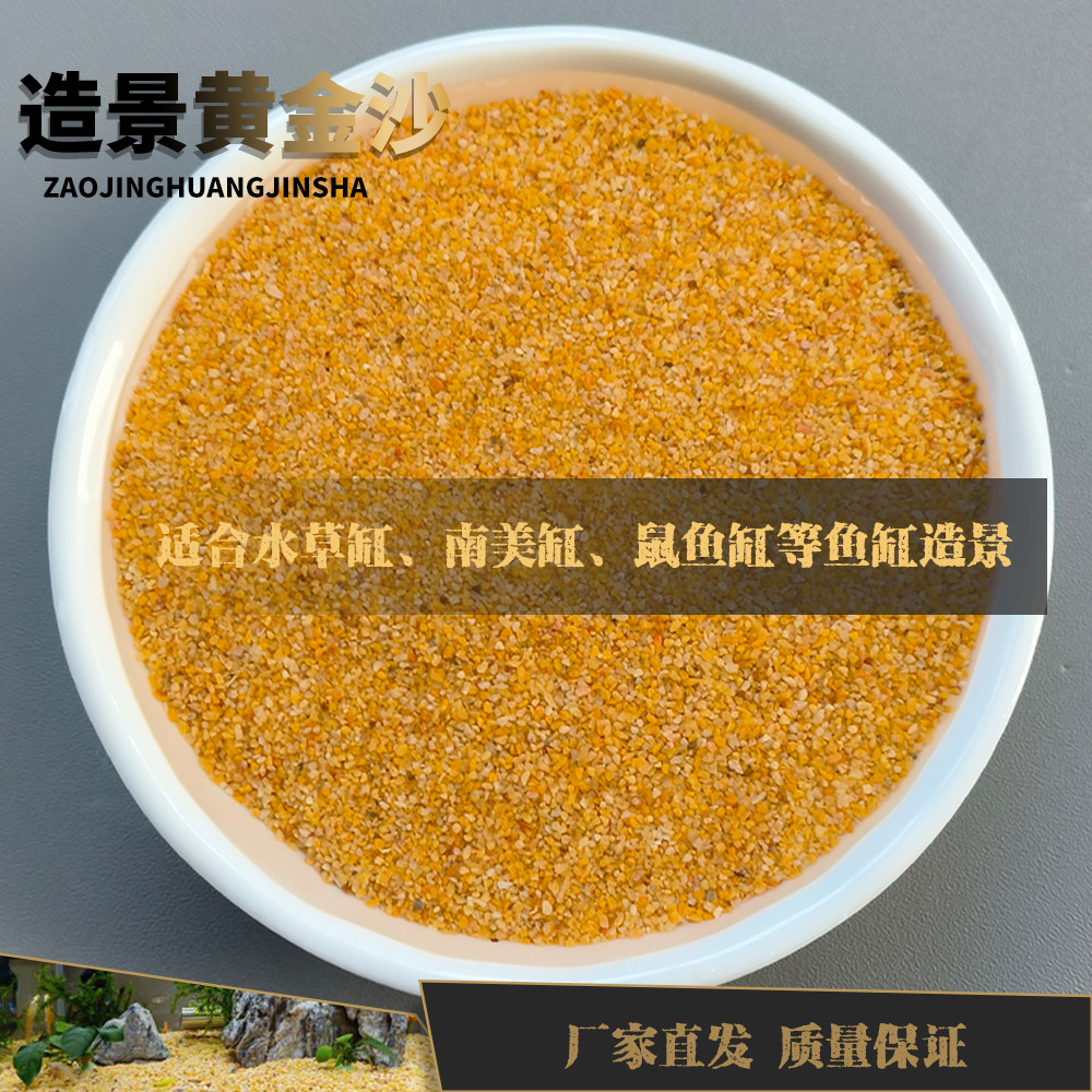 黄金沙南美鼠鱼缸装饰底砂天然溪流石沙草缸水陆造景细河沙水草砂