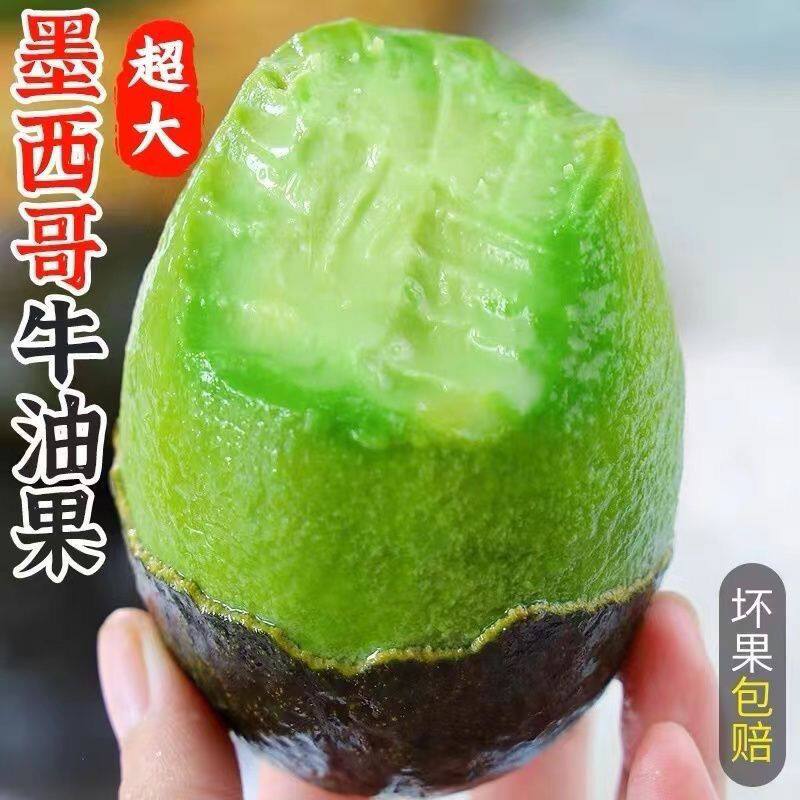 墨西哥进口牛油果8个装6个装新鲜水果当季现摘现发孕妇宝宝辅食