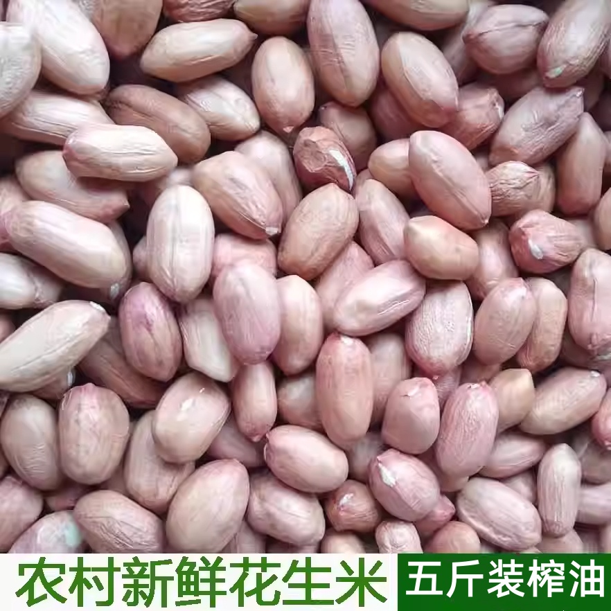 新鲜生花生米花生仁商用
