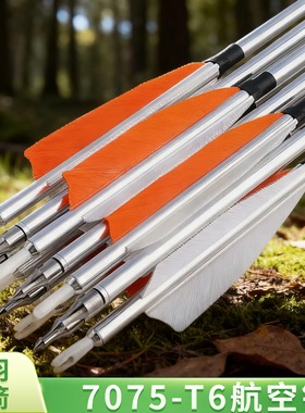 真羽铝箭美猎弓传统弓反曲弓用户外射箭比赛练习铝合金箭支12支装