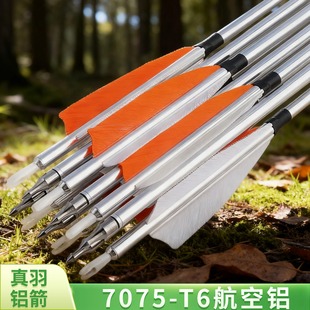 真羽铝箭美猎弓传统弓反曲弓用户外射箭比赛练习铝合金箭支12支装