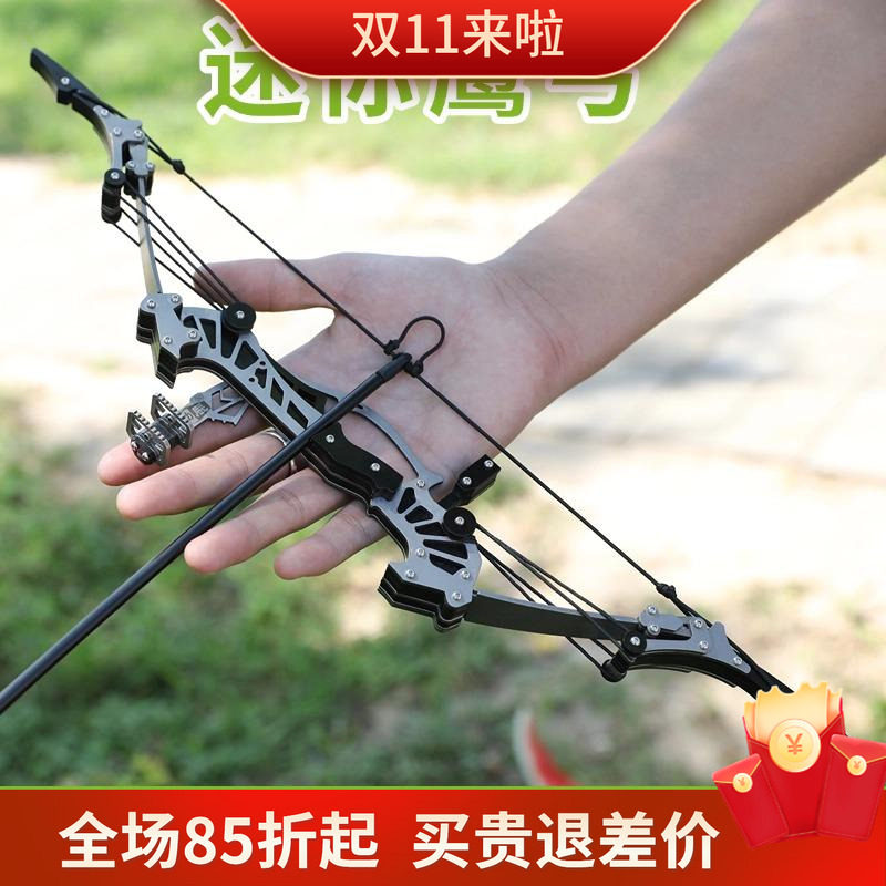 小型迷你弓复合弓破甲反曲弓成人户外射箭滑轮弓射箭微型弓箭套装