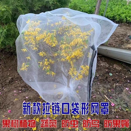 果树防虫网罩网袋莲雾樱桃蓝莓杨梅蔬菜花卉绿植防鸟防虫网抗老化