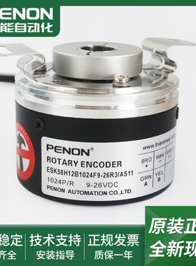 ESK58H12B1024F5-30R9212/9212B ESK58H12B1024F9-26R3/AS11