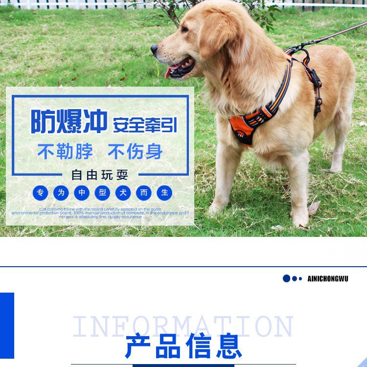 狗狗胸背带宠物双层胸背带牵引绳小中型犬宠物用品反光宠物胸背带