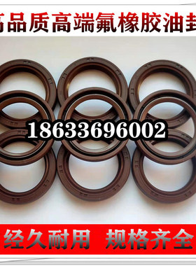 优质氟胶骨架油封耐高温酸碱密封密封圈TC110*130*12 110X130X12