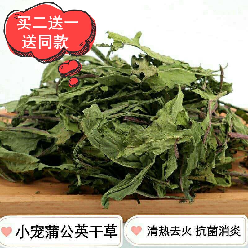 兔子清热蒲公英叶龙猫去火保健草荷兰猪仓鼠豚鼠消炎蒲公英草包邮