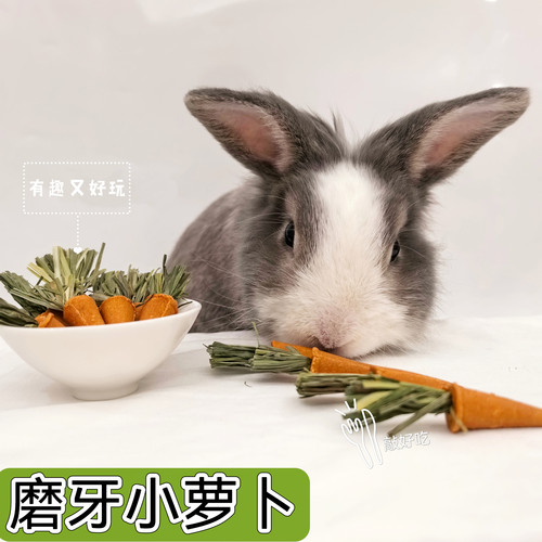 兔兔零食磨牙小萝卜解闷兔小零食