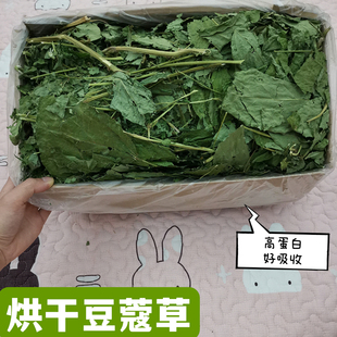 烘干大叶豆蔻草兔子龙猫荷兰猪干草粮宠物兔营养保健牧草豚鼠豆草