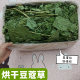 烘干大叶豆蔻草兔子龙猫荷兰猪干草粮宠物兔营养保健牧草豚鼠豆草