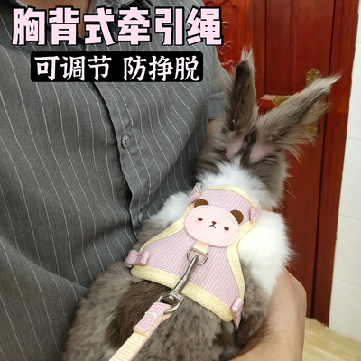 外出侏儒兔可调节神器牵引绳