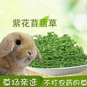 紫花苜蓿草兔子干草宠物兔粮龙猫荷兰猪豚鼠营养牧草主粮幼兔主草
