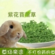 紫花苜蓿草兔子干草宠物兔粮龙猫荷兰猪豚鼠营养牧草主粮幼兔主草