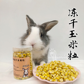 兔子零食冻干玉米粒龙猫荷兰猪仓鼠食物辅食宠物兔兔营养零食60克