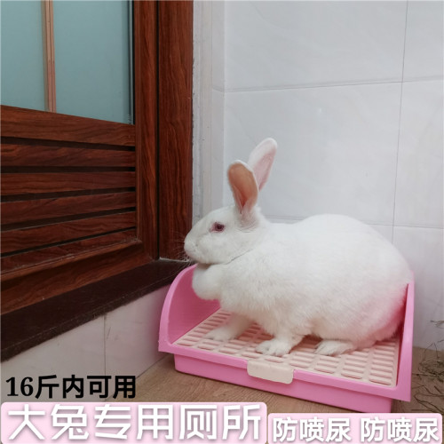 成兔防喷大型方形定点拉尿厕所