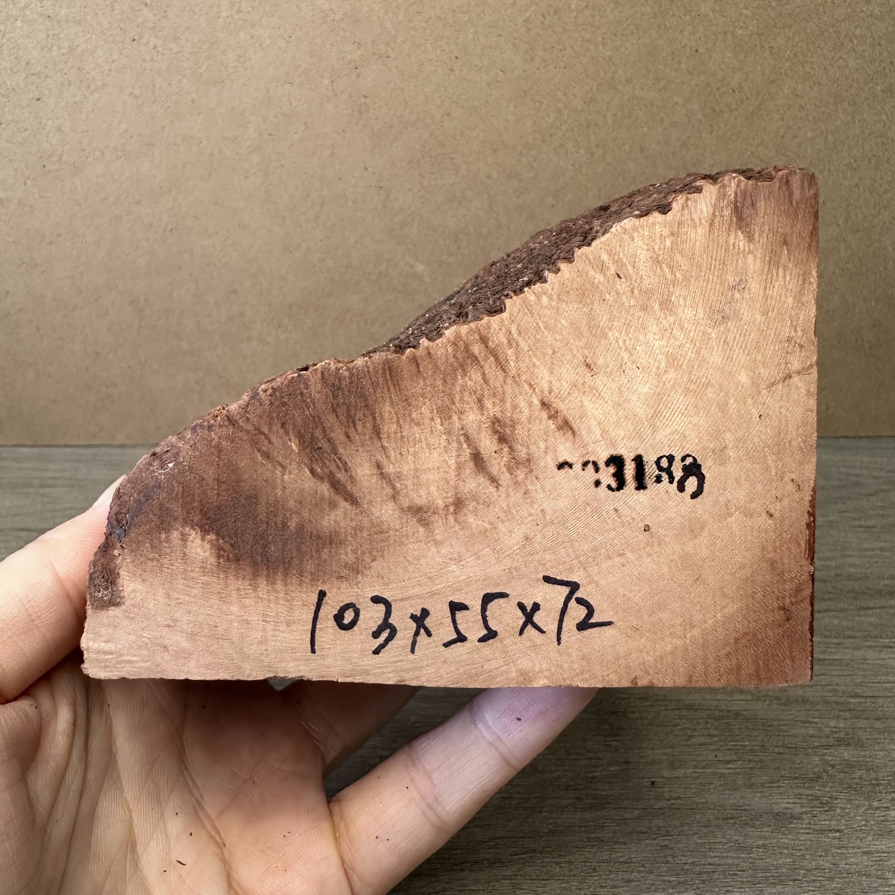 意大利进口带皮石楠木根瘤 白料 干燥多年老料 手工烟斗DIY专用