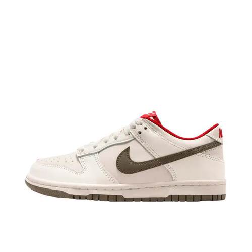 Nike/耐克 NIKE DUNK LOW BG CN大童板鞋IQ9793-020