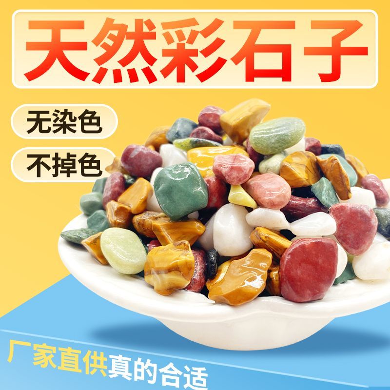 天然五彩石雨花石鱼缸造铺底盆栽水培多肉植物铺面装饰小石头