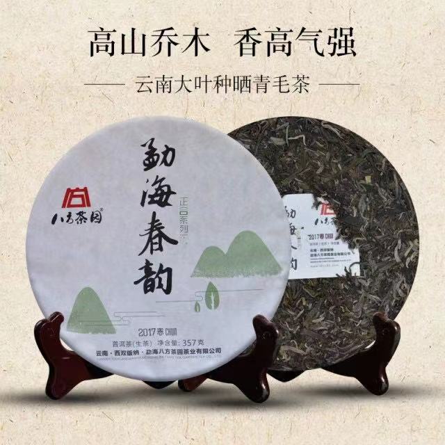 八方茶园2017勐海春韵西双版纳普洱茶生茶357克乔木春茶七子饼茶