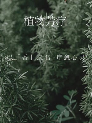 源醒觉 ——私人定制复方按摩油 20ml 起订 详情请阅读宝贝描述