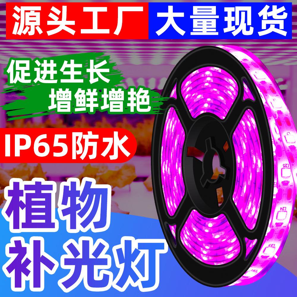 照明LED植物灯带USB全光谱植物生长灯2835防水种植补光灯5V图片