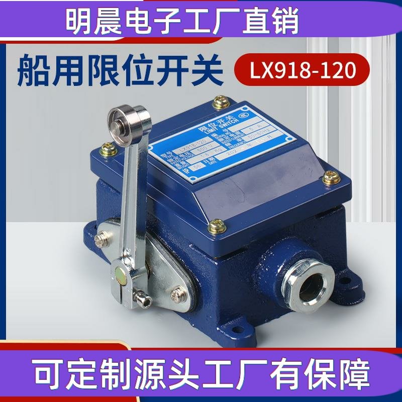 LX918120重型船用行程开关500V5A树脂防水防腐限位开关手柄可调