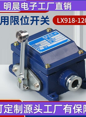 LX918120重型船用行程开关500V5A树脂防水防腐限位开关手柄可调