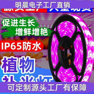 照明LED植物灯带USB全光谱植物生长灯2835防水种植补光灯5V