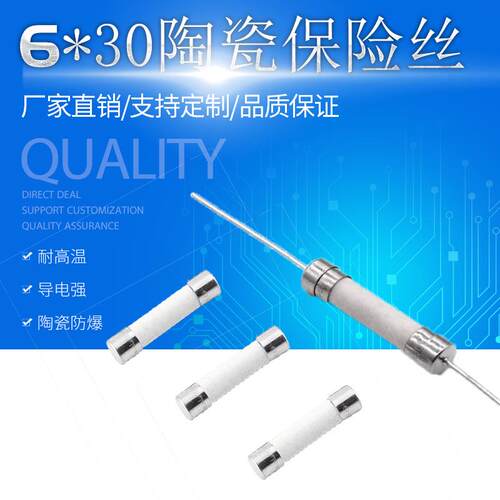 WB27X10388陶瓷保险丝 6.35*30陶瓷保险管 20A 250V慢熔断保险丝