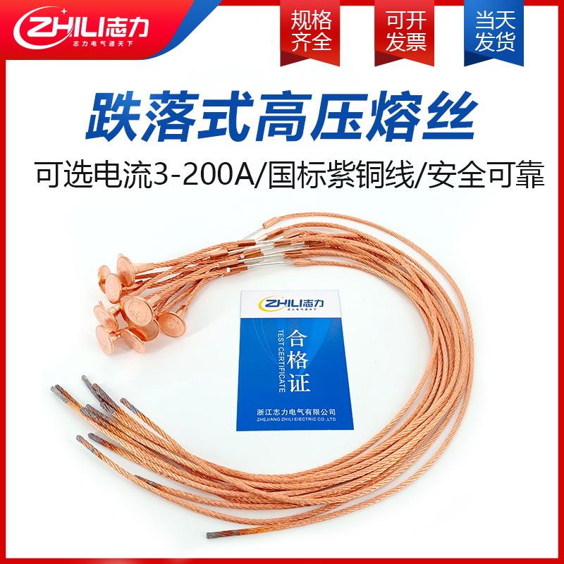 国标带扣RW10KV高压熔丝跌落式令克高压熔断器熔断丝保险丝熔芯图片