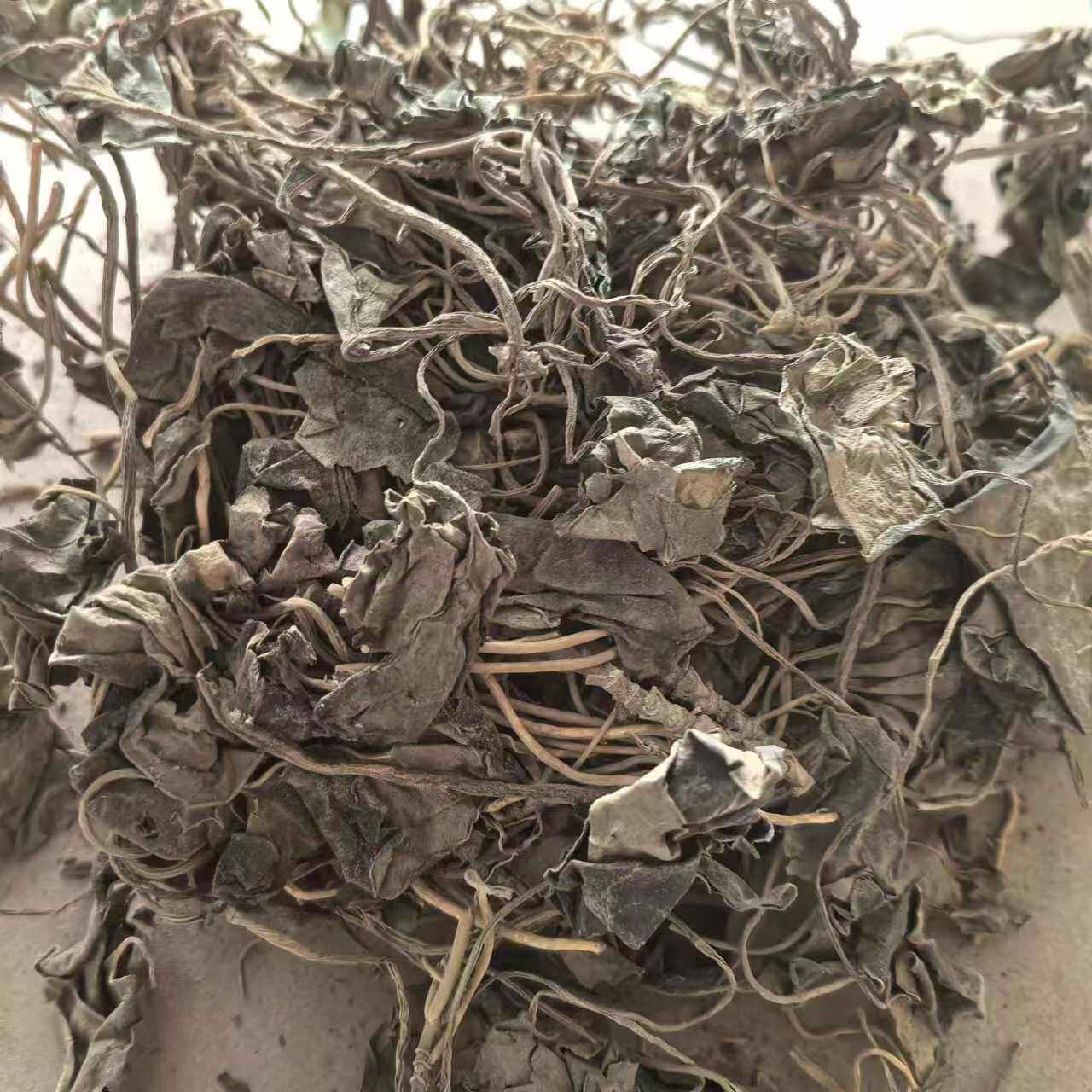 金耳环 瑶药 南细辛 2斤包邮 带叶细辛 千打锤 500g克 初级农产品