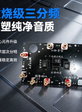 无氧铜可调二三分频器人声细腻