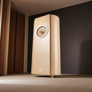 高品质Silver10寸落地式 Hifi音箱前置发烧hifi级震撼体验臻选NEW