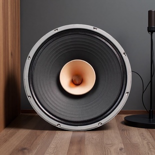 工厂直销 liisong发烧hifi扬声器正品 高品质15寸全频喇叭F 15丽颂