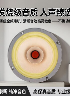 正品lii song丽颂FAST-6.5寸全频喇叭发烧hifi高品质臻选源头工厂