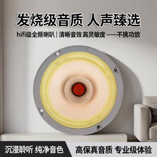 song丽颂FAST 6.5寸全频喇叭发烧hifi高品质臻选源头工厂 lii 正品