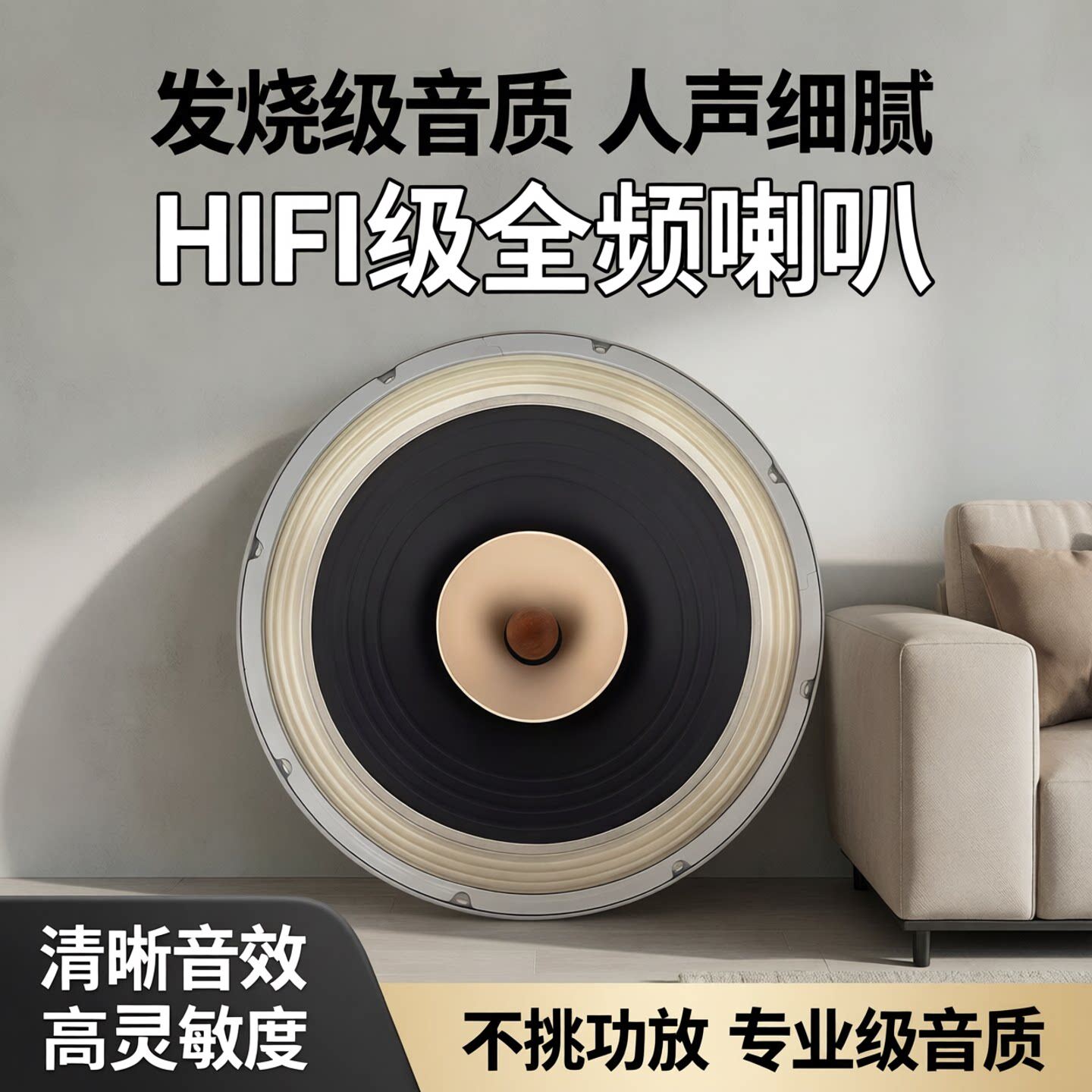 正品丽颂FAST15寸全频喇叭发烧级hifi高品质音质臻选人声源头工厂