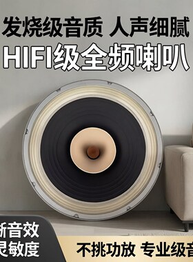 正品丽颂FAST15寸全频喇叭发烧级hifi高品质音质臻选人声源头工厂