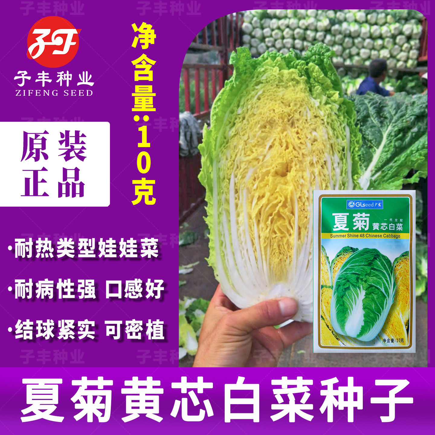 广良夏菊黄心杂交大白菜蔬菜种子夏季耐热秋季50天韩国娃娃菜种籽