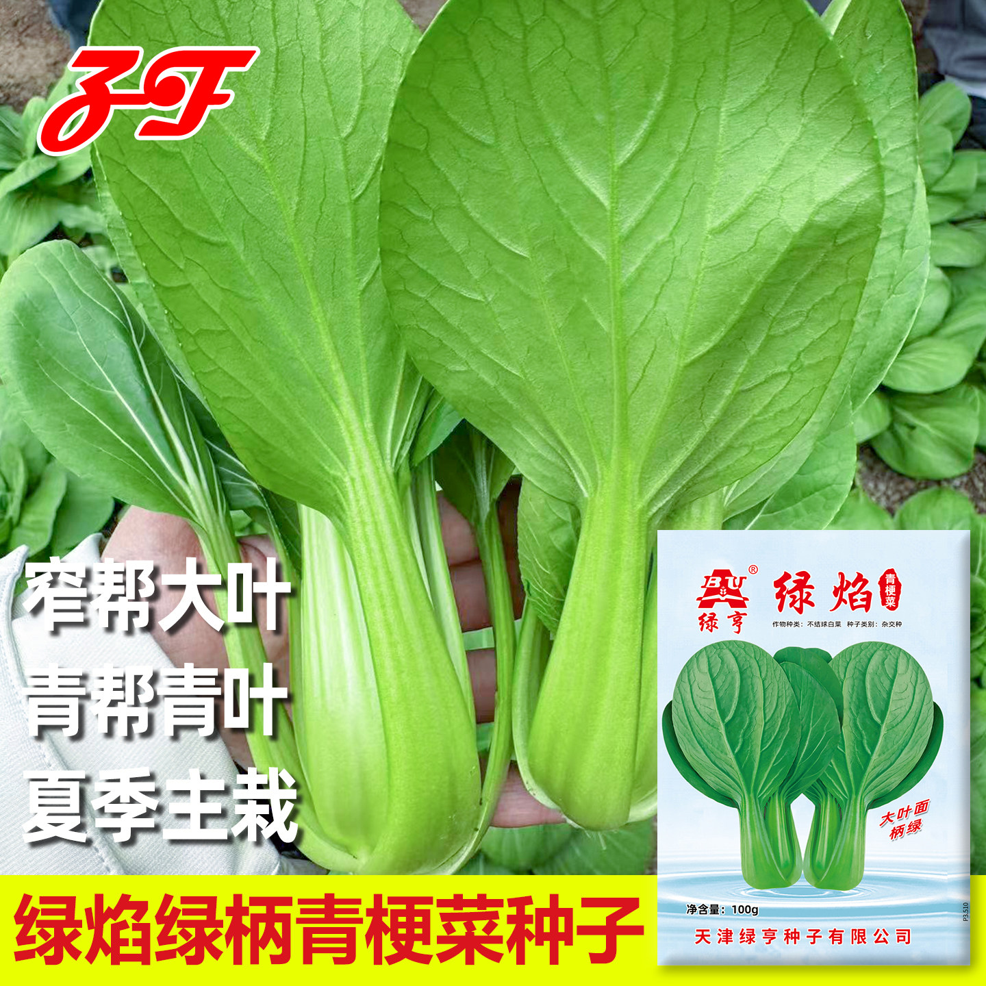 绿亨夏季耐高温绿帮青梗菜种子图片
