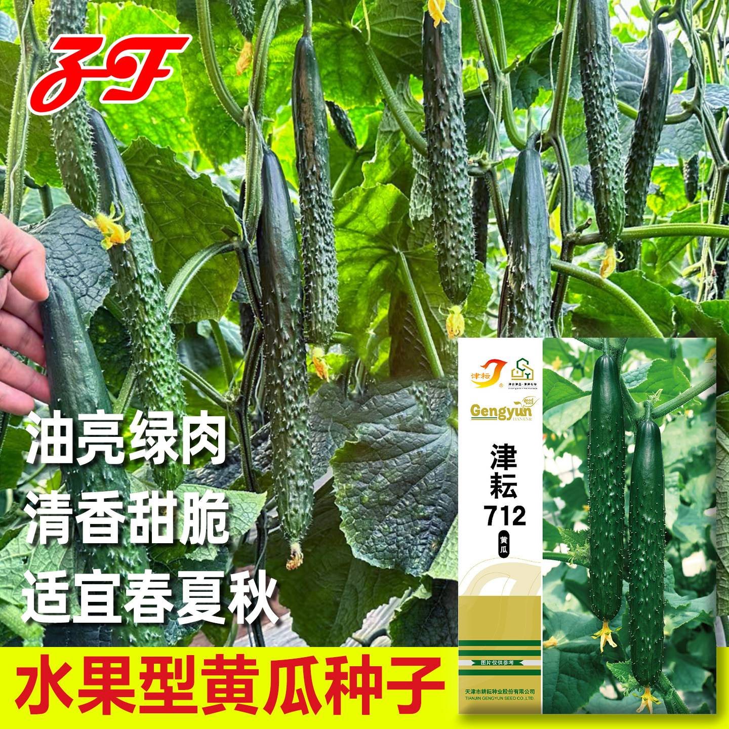 水果黄瓜种子津耘712春秋夏季露地黄瓜籽绿瓤油亮型白刺黄瓜种孑