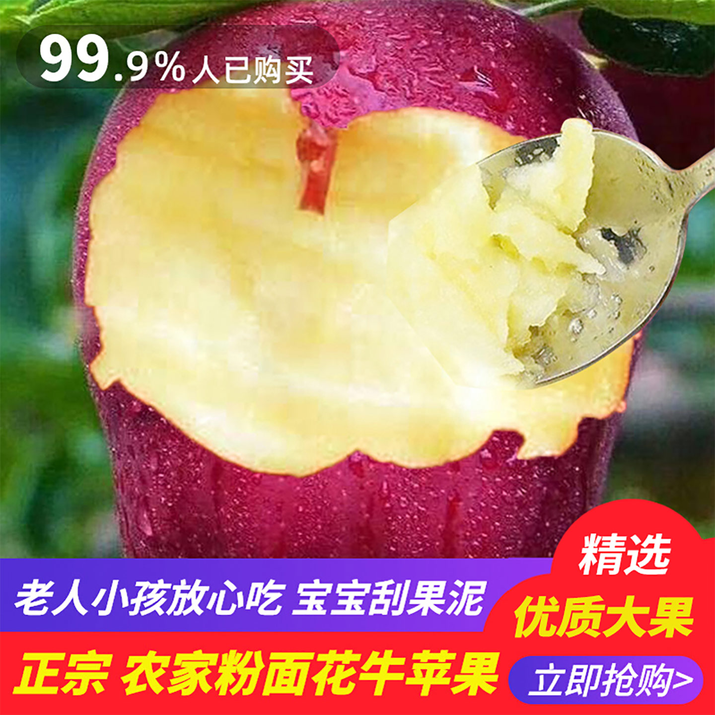 26年现摘粉面沙甜花牛苹果婴儿老人宝宝刮泥吃蛇红果新鲜水果10斤
